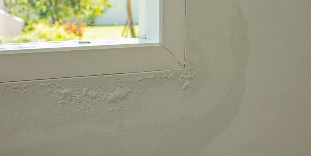 Water Damage Restoration