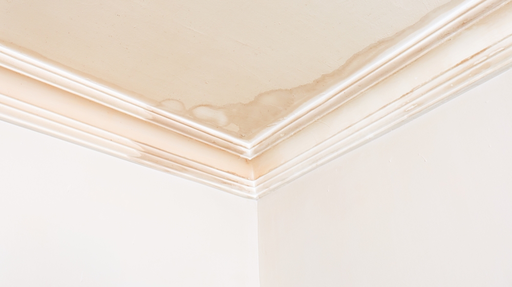 ceiling water leak repair