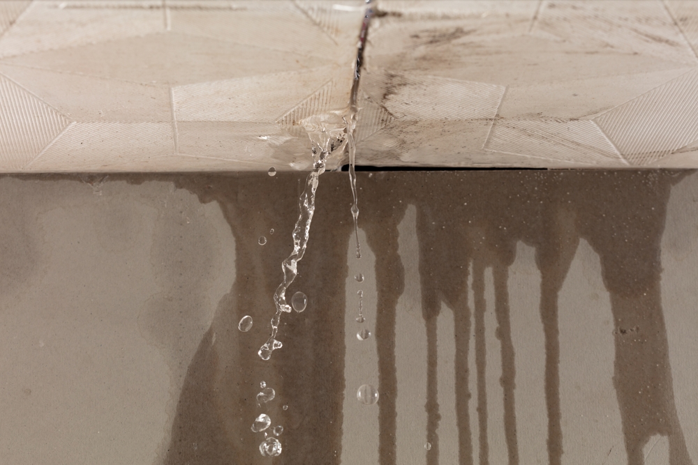 Roof Leak Stains