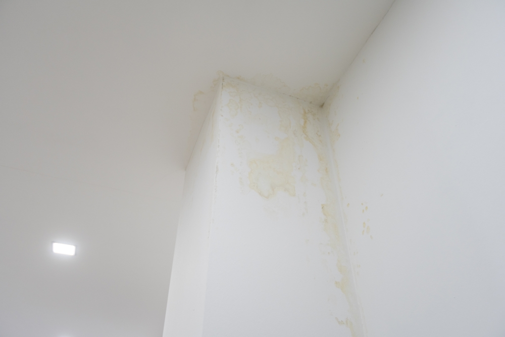 ceiling water leak repair