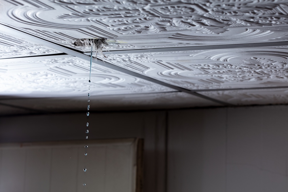 Ceiling Water Stains & Leaks Repair
